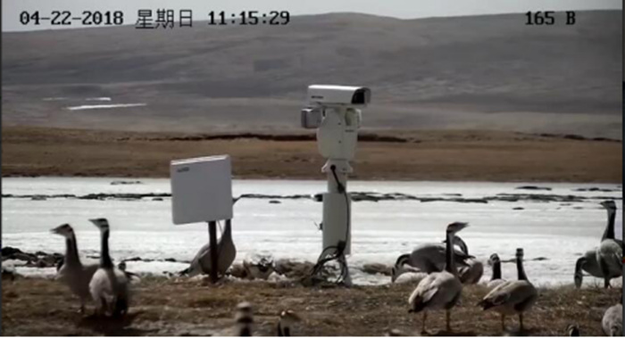 設(shè)備接收效果圖片