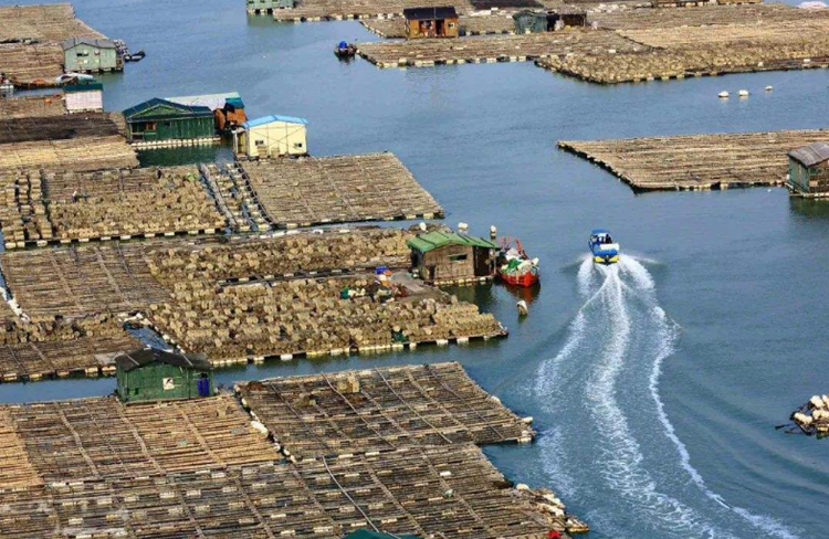 海上鮑魚養(yǎng)殖平臺