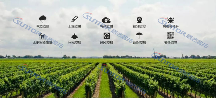 智慧農(nóng)業(yè)現(xiàn)場圖