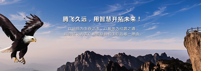 騰遠(yuǎn)智拓-企業(yè)文化的精髓融入我的世界