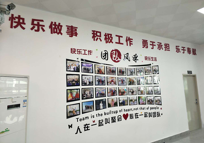 騰遠(yuǎn)智拓文化墻