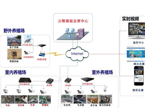 養(yǎng)殖場無線視頻監(jiān)控解決方案
