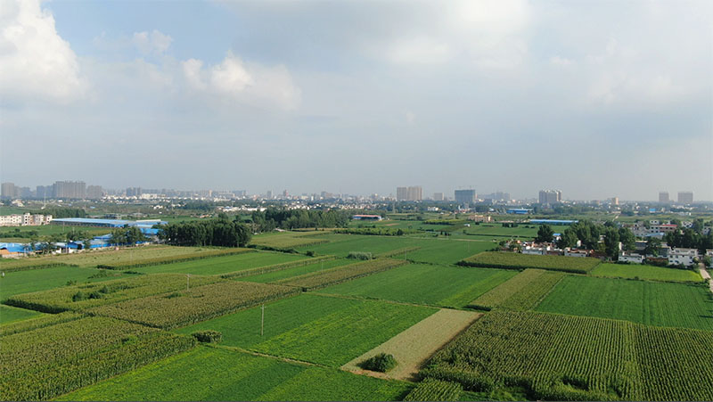 智慧農(nóng)田無線傳輸