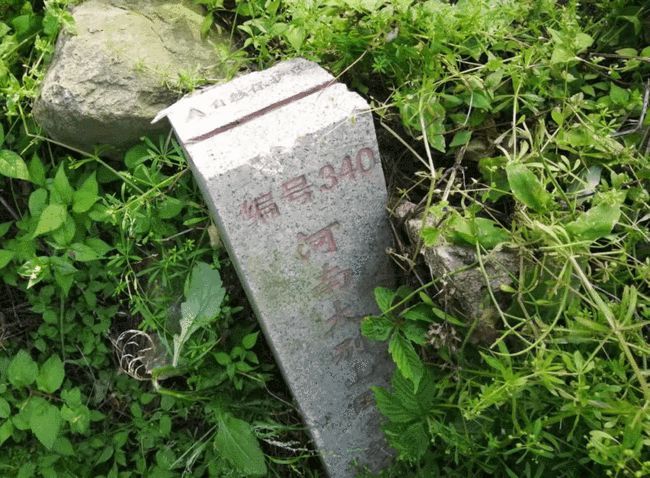 蘇仙石鄉(xiāng)生態(tài)毀林，科技監(jiān)控防范已成趨勢
