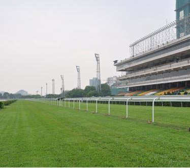 澳門賽馬場無線傳輸成功案例