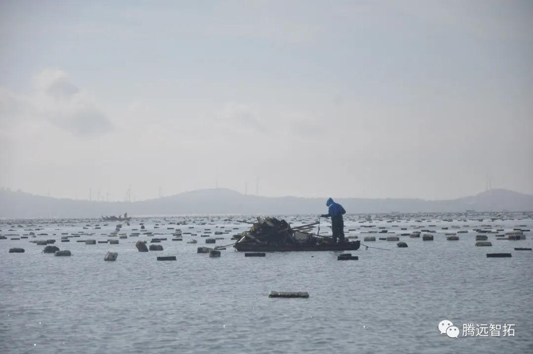 海上通信 | 福建一鮑魚養(yǎng)殖平臺遠(yuǎn)程無線監(jiān)控案例